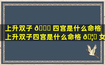 上升双子 🐅 四宫是什么命格「上升双子四宫是什么命格 🦁 女」